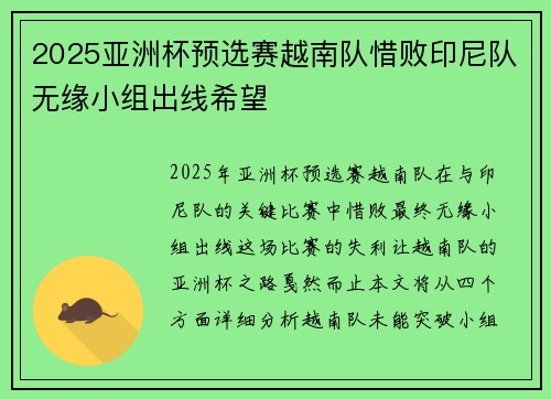 2025亚洲杯预选赛越南队惜败印尼队无缘小组出线希望 2025亚洲杯预选赛越南队惜败印尼队无缘小组出线希望